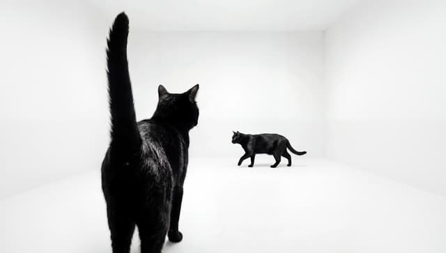 Superposition